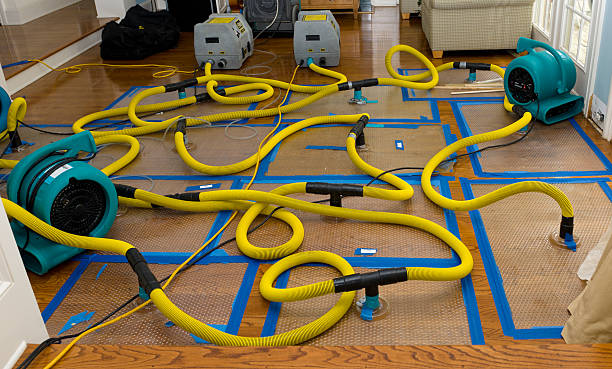 Professional Sewage Cleanup technician working in Caddo, TX